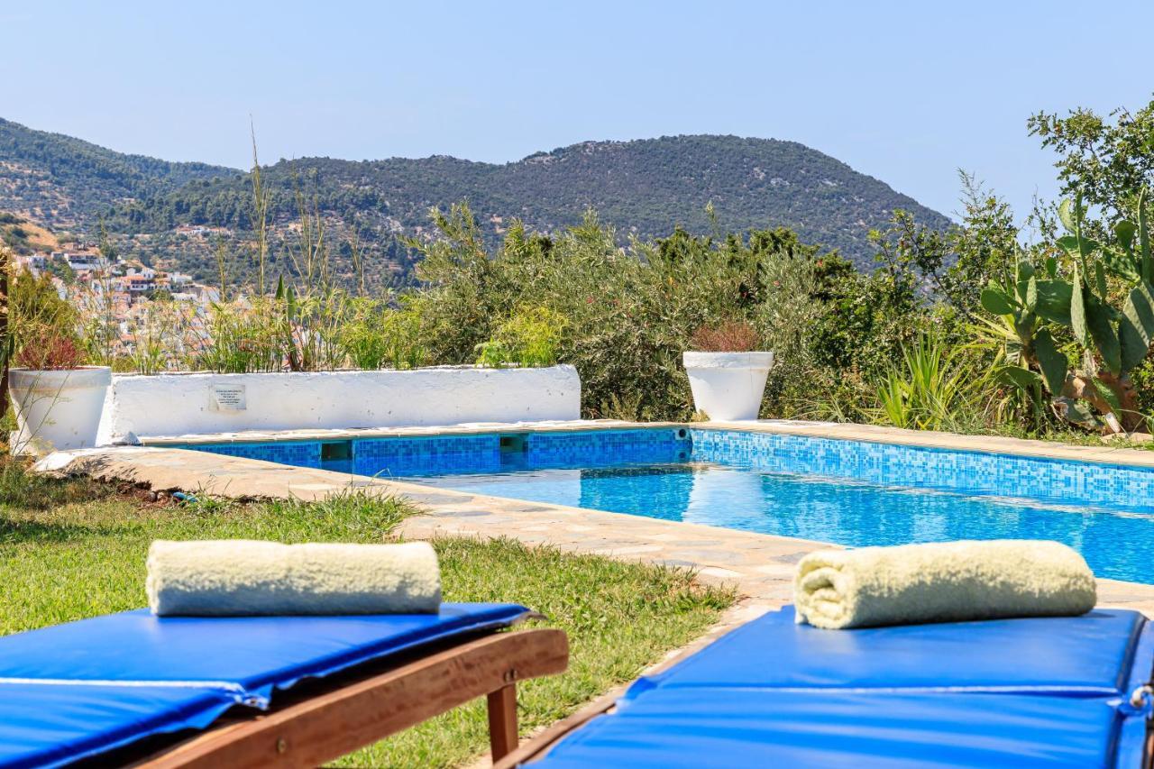 Villa Rodia With Swimming Pool On Skopelos Island Екстериор снимка
